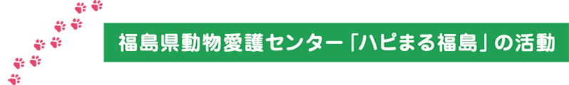 福島県より支援のお願いにあたって