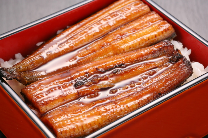 浜松・浜名湖　うなぎ蒲焼2＆うなぎ茶漬2　4人前×２