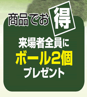 商品でお得。来場者全員にボール２個プレゼント