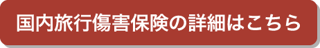 国内旅行傷害保険の詳細はこちら