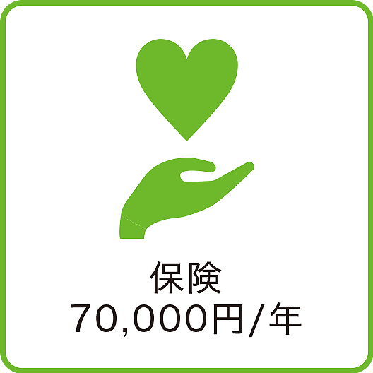 保険：70,000円/年