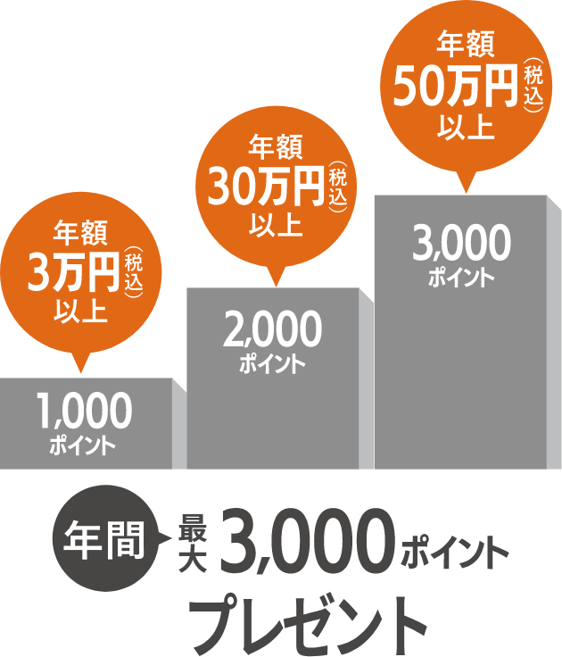 年額3万円（税込）以上1,000ポイント 年額30万円（税込）以上2,000ポイント 年額50万円（税込）以上3,000ポイント 年間最大3,000ポイントプレゼント