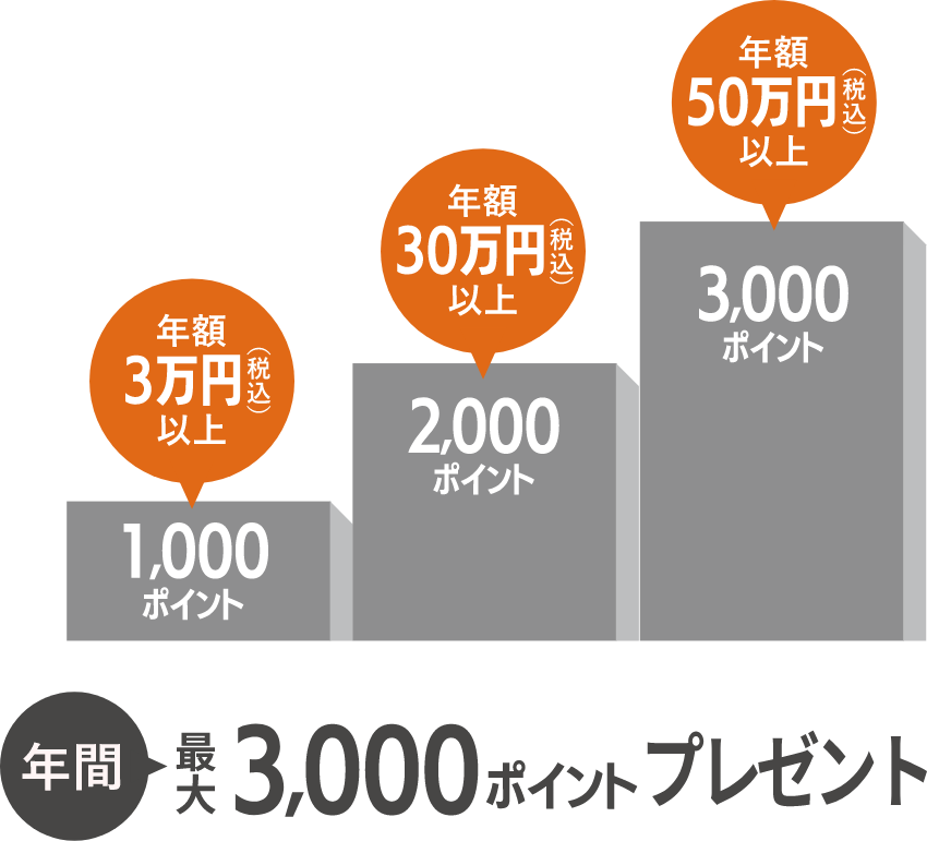 年額3万円（税込）以上1,000ポイント 年額30万円（税込）以上2,000ポイント 年額50万円（税込）以上3,000ポイント 年間最大3,000ポイントプレゼント