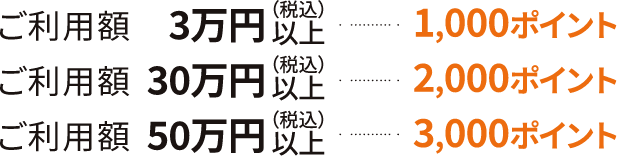 ご利用額3万円（税込）以上1,000ポイント ご利用額30万円（税込）以上2,000ポイント ご利用額50万円（税込）以上3,000ポイント