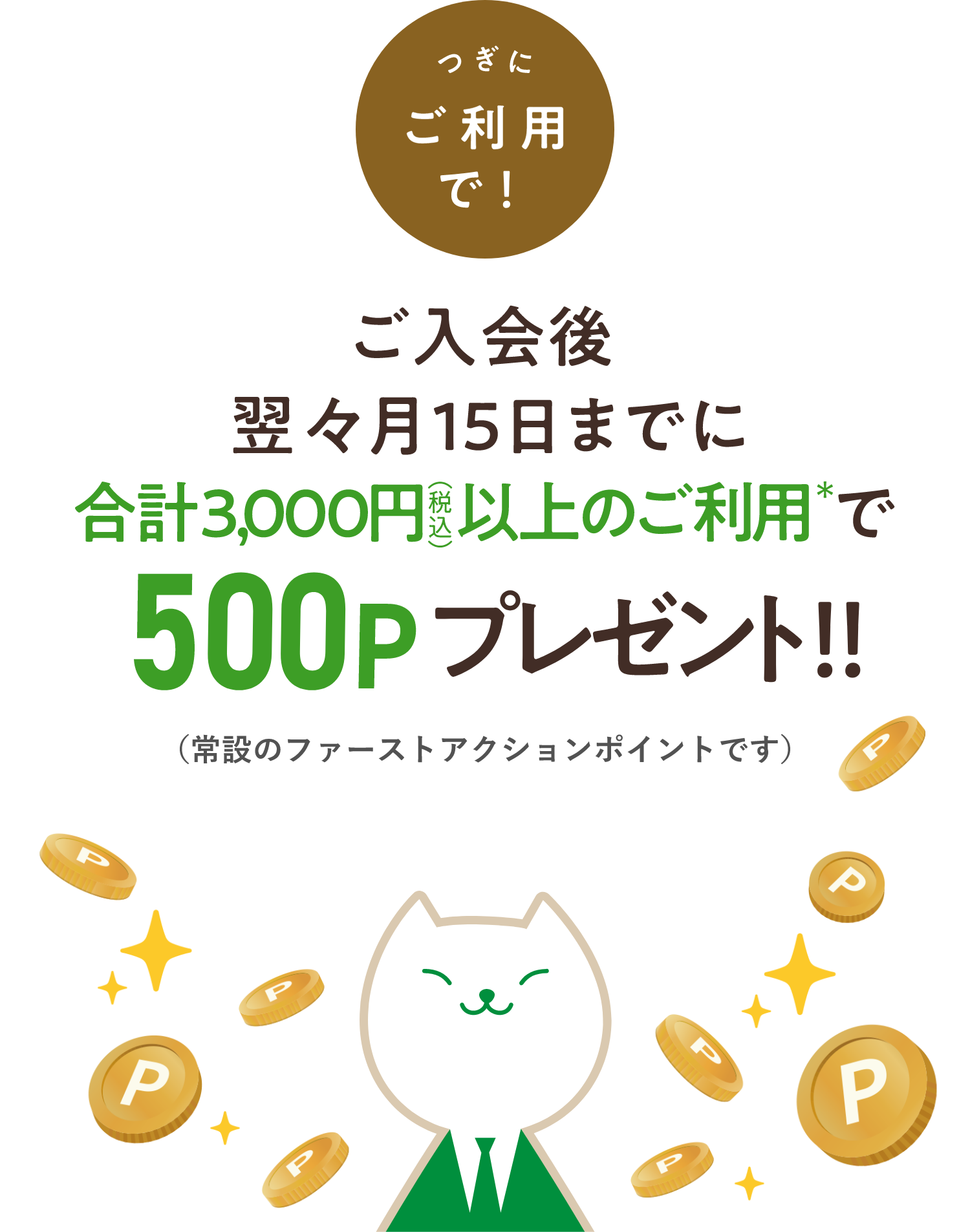 つぎにご利用で！ご入会後翌々月15日までに合計3,000円（税込）以上のご利用で500Pプレゼント！（常設のファーストアクションポイントです）
