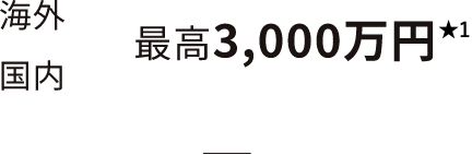海外国内最高3,000万円