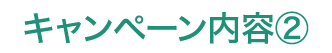 キャンペーン内容②