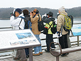 野鳥観察会